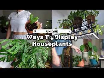 Upgrade Your Home with THESE Indoor Plant Display Tricks!