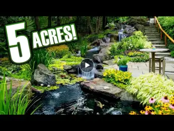 5 acres YOU HAVE to see! TOUR