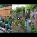 Latest Garden style decorations ideas for compact places 2023 - Summer Garden ideas