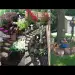 Latest backyard landscaping garden designs in summer 2023 - garden decors